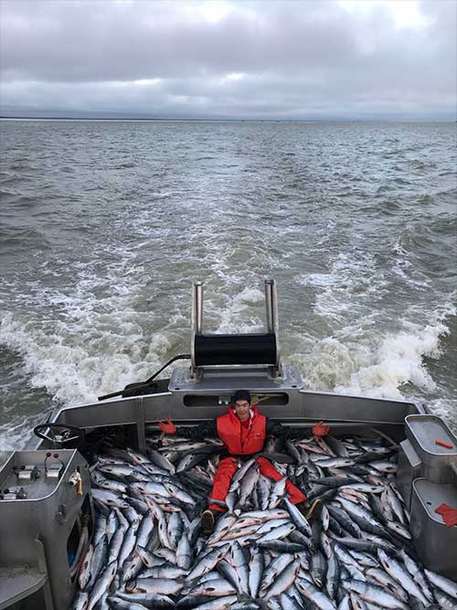 jpg Triston Chaney with a deckload of sockeye salmon aboard his grandpa's boat in Bristol Bay.