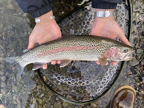 jpg Triston Chaney with a nice Bristol Bay rainbow trout.