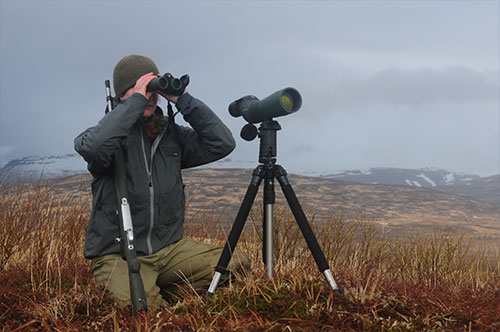 jpg Tia Shoemaker glassing the Alaska Peninsula.