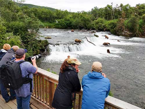 jpg Bear viewers and bears at Brooks Falls
