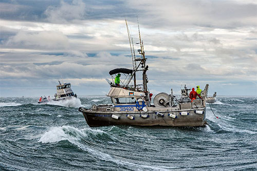 jpg Gillnetters at work in Bristol Bay. 
Photo by Chris Miller©