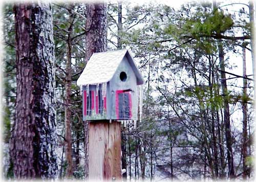 jpg icy birdhouse