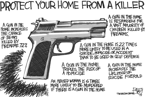 gif guns in the home