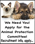 KGB Animal Protection Ad Hoc Committee Recruitment