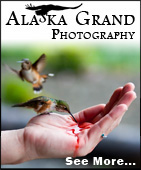 Alaska Grand Photography