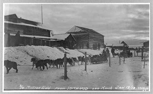 jpg dog sled arriving from Iditarod