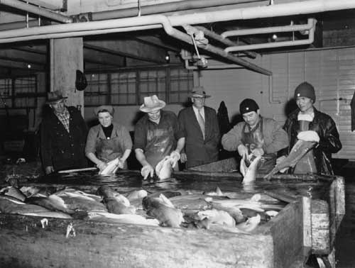 photo Fish House Tessie Ketchikan, Alaska