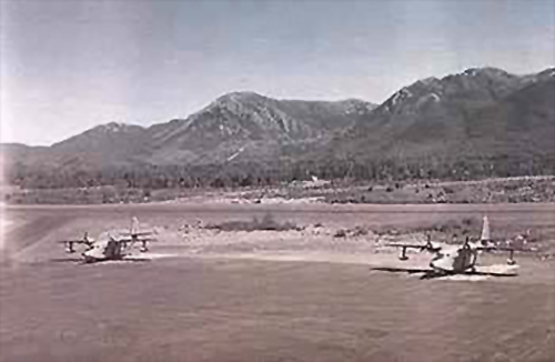 jpg Two Albatrosses at Annette Island in the 1960s