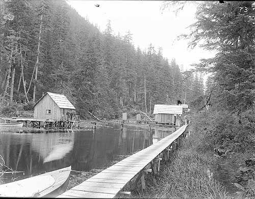 jpg Bell Island buildings and walkway, 1904 