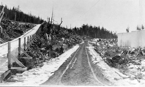 jpg Plank Road in Ketchikan, Alaska 