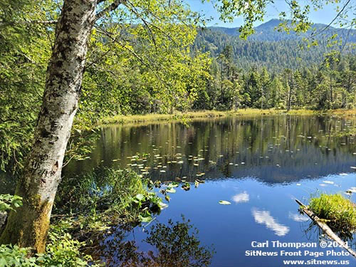 jpg 60 years later, 'Ernie's frogs' are still croaking (Frog Pond - Ketchikan, Alaska)