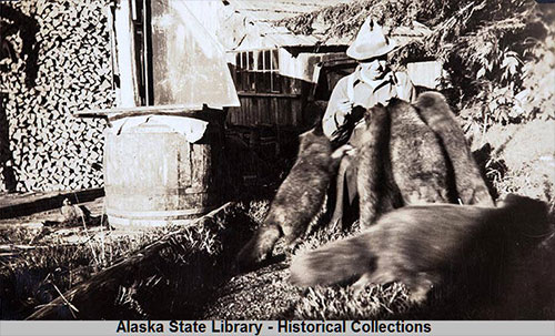 When Fur Farming was Alaska's third biggest industry; Hundreds of farms dotted islands in Southeast