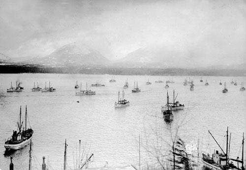 jpg Halibut schooner fleet in Narrows, circa 1925