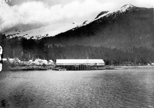 jpg Clark and Martin's saltery in Ketchikan, 1898 