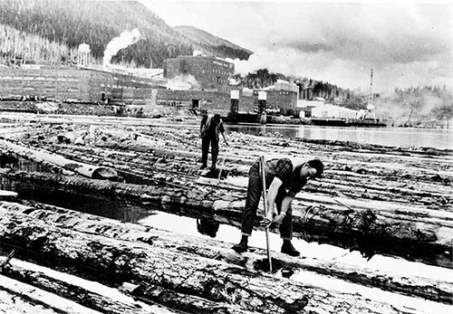 jpg Pond men on floating logs, Ketchikan Pulp Mill.