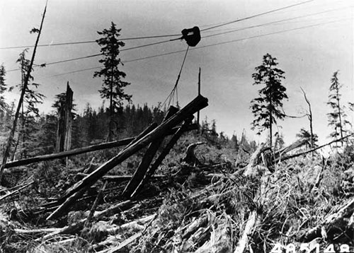 jpg Skyline logging by Ketchikan Pulp Co. in Neets Bay, August 8, 1957.