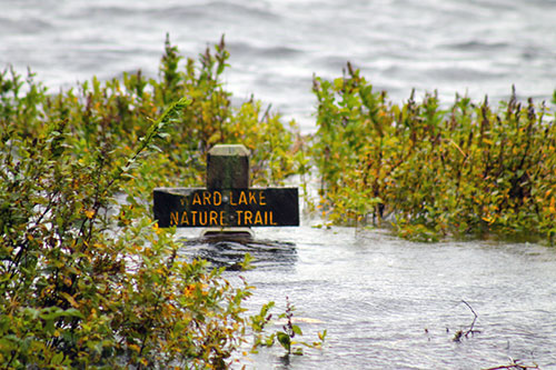 jpg Ward Lake Nature Trail underwater after 9.46 inches of rain