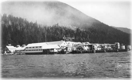 Catching a Can in Ketchikan;  A History of the 'Canned Salmon Capital of the World'  A feature story by DAVE KIFFER