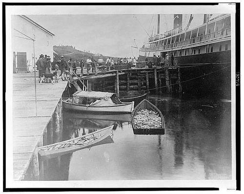 jpg The expedition vessel, George W. Elder, at dock (thought to be in Sitka, Alaska) and two small boats loaded with fish in the foreground, 1899]