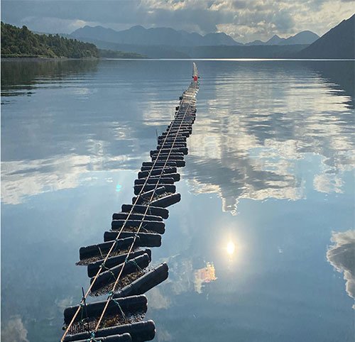 jpg Floating oyster growing system by Erik O’Brien at Larsen Bay, Kodiak