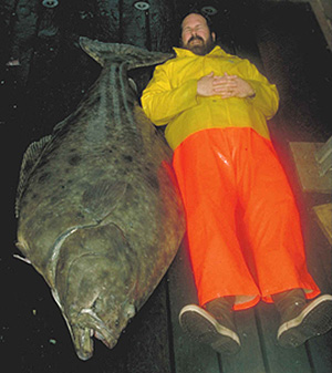 jpg Pacific halibut harvest not slashed for first time in 15 years 