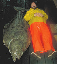Pacific halibut harvest not slashed for first time in 15 years