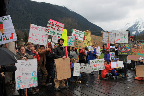 jpg A  "Say no to GMO salmon” rally at Sitka last week attracted nearly 150 people.  