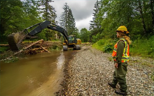 jpg Water changes in Southeast AK streams, fish protections outlined for first time 