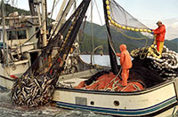 Economic Value of Alaska's Seafood Industry