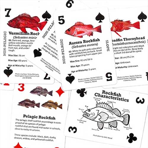 jpg Go Fish! 