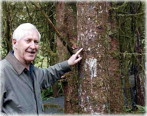 photo Len Laurance Alaska Rainforest Sanctuary