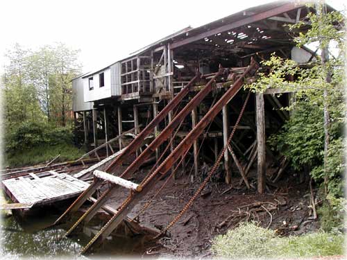 photo chain-conveyor system