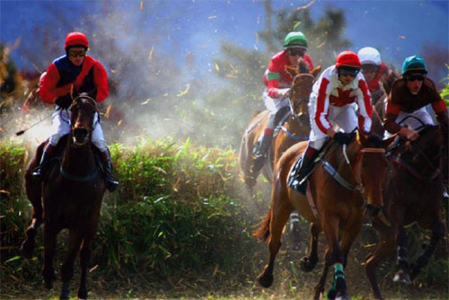 jpg horse race