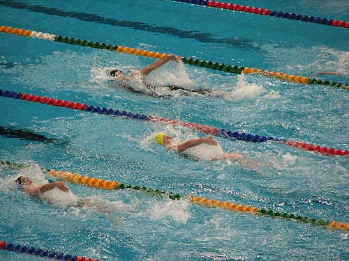 jpg Swimmers and ions compete