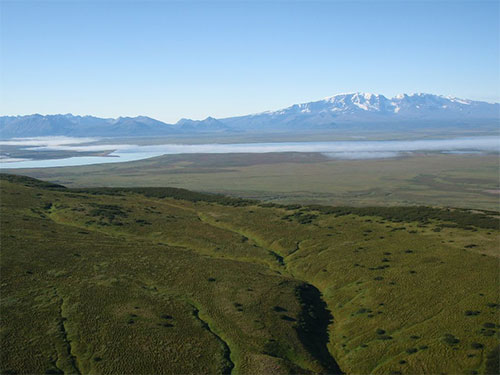 jpg Black Lake, the second of two lakes in the Chignik River system.