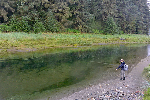 jpg Angler stands at a pool of pink salmon.