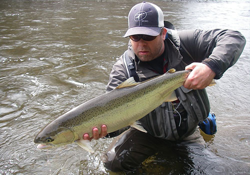 jpg Mark Hieronymus poses with a steelhead caught
in 2014 on a Southeast Alaskan river. 
Photo by Tyson Fick ©2018