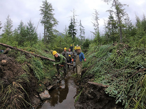 jpg A Southeast Alaska Watershed Coalition crew poses next to their recently completed restoration project on Castor Creek, on Admiralty Island. 