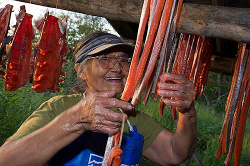 jpg An Alaska Native elder hangs salmon at her family’s Strait Slough fish camp on the Kuskokwim River.