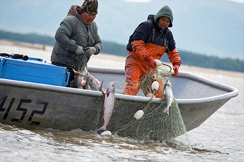 jpg Commercial gillnet fishermen on the lower Yukon River.