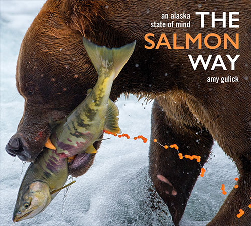 jpg The Salmon Way’: Author shares Alaska’s salmon stories and ways of life 