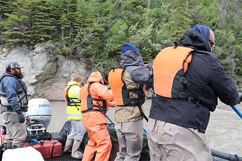 jpg AK eXpeditions owner/operator Mark Spencer navigates as Dave Osantowski of North Pole, Al Myers of Fairbanks, John Naylor of Wasilla and Tasi Fosi of Anchorage dipnet for salmon on July 9, 2018 on the Copper River out of Chitina. 