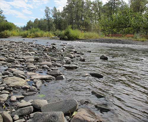 jpg Anchor River - An Anchor River gravel bar at low water on September 3, 2019.