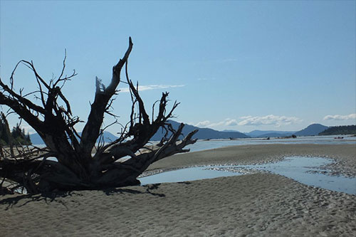 A trip on the Stikine