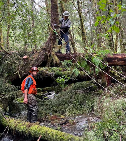 jpg Rob Cadmus, Executive Director of the Southeast Alaska Watershed Coalition, and Quinn Aboudara of the Klawock Indigenous Stewards Forest Partnership work together on restoring fish habitat at Seven Mile Creek just outside Klawock Lake.