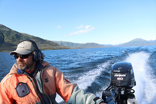 jpg Daniel Schindler of the University of Washington’s Alaska Salmon Program in the Bristol Bay watershed, which the program has studied since 1946