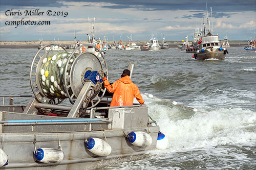 Fishermen catch 2 billionth sockeye salmon in Bristol Bay this year