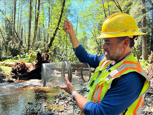 jpg U.S. Forest Service fish biologist Eric Castro prepares to drop a minnow trap into East Ohmer Creek. 