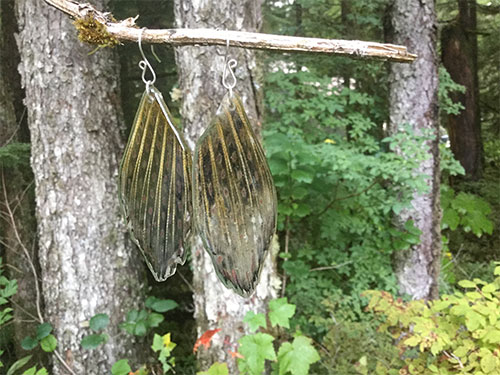 jpg Earrings made from the fins of arctic grayling