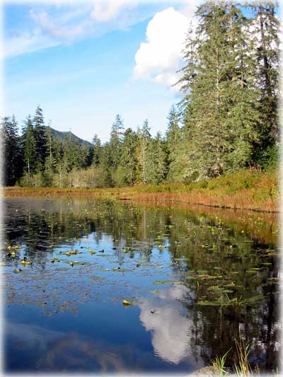 jpg Talbot Lake Ketchikan, Alaska